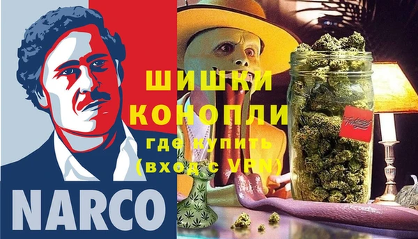 трава Арсеньев