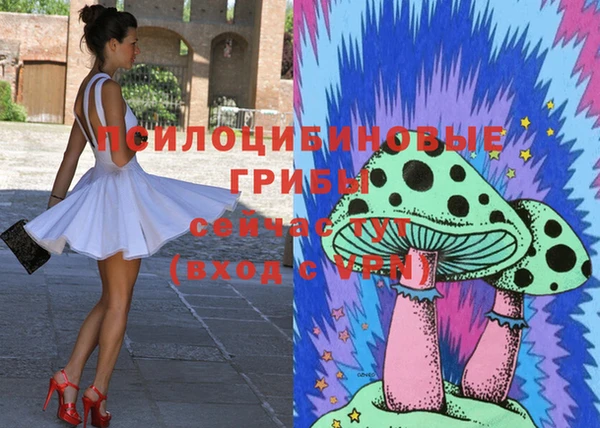 mdpv Баксан