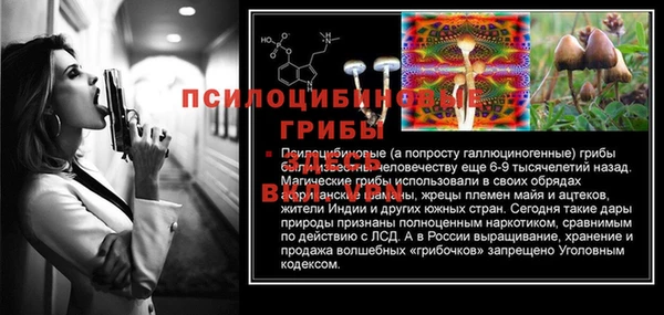 соль ск Беломорск
