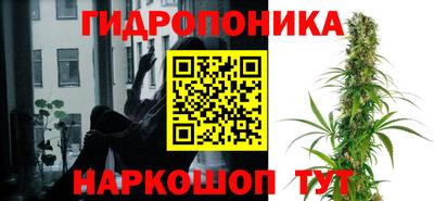 мяу мяу мука Апшеронск