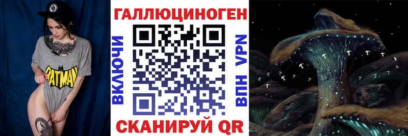 Купить где  Балахна  Псилоцибиновые грибы GOLDEN TEACHER 