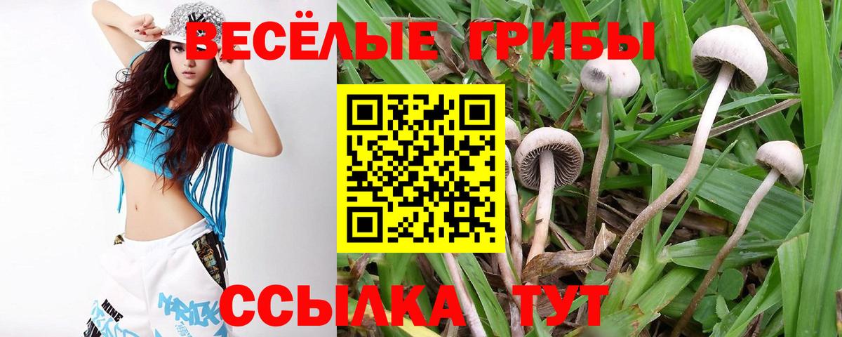 Балахна  Галлюциногенные грибы GOLDEN TEACHER  Псилоцибиновые грибы ЛСД  Вход с VPN 