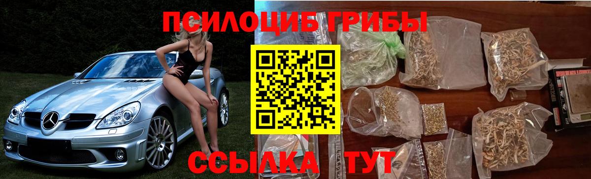 Псилоцибиновые грибы ЛСД Балахна