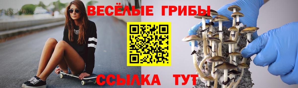 Галлюциногенные грибы Psilocybine cubensis  Псилоцибиновые грибы Psilocybe  даркнет сайт  Балахна 